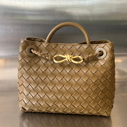 Bottega Small Andiamo bag