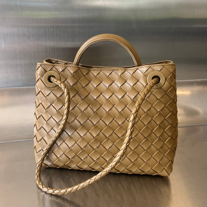 Bottega Small Andiamo bag