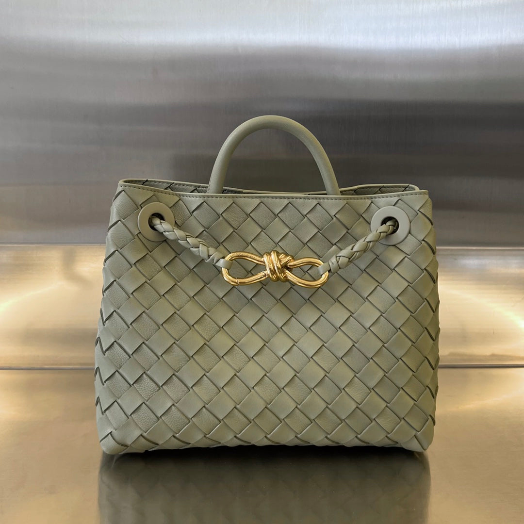 Bottega Small Andiamo bag