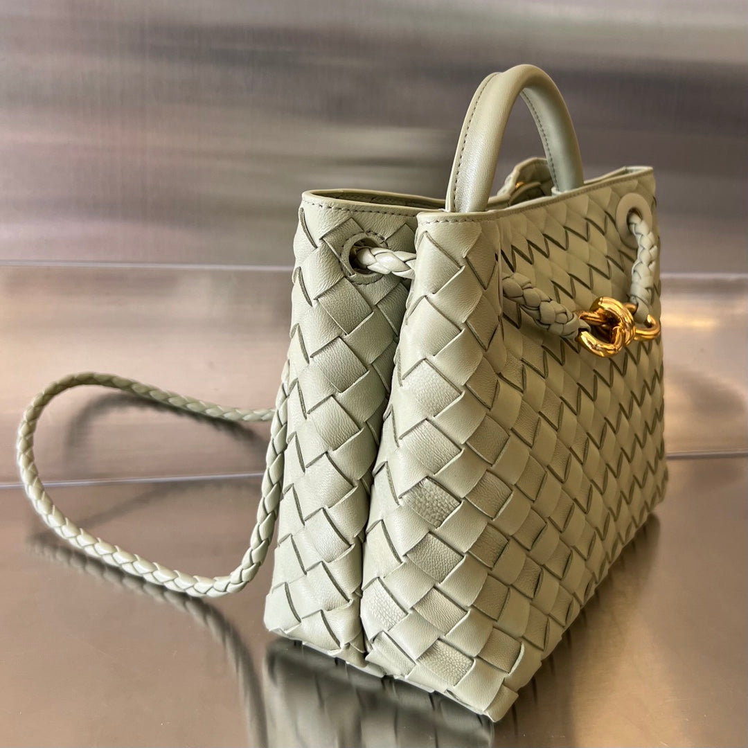 Bottega Small Andiamo bag