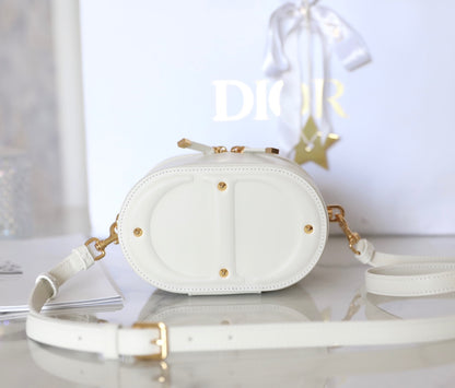 Dior CD SIGNATURE VANITY bag