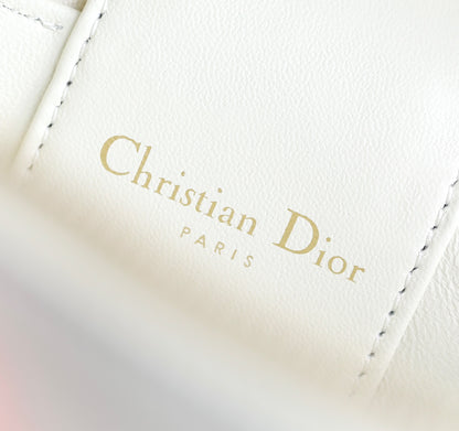 Dior CD SIGNATURE VANITY bag