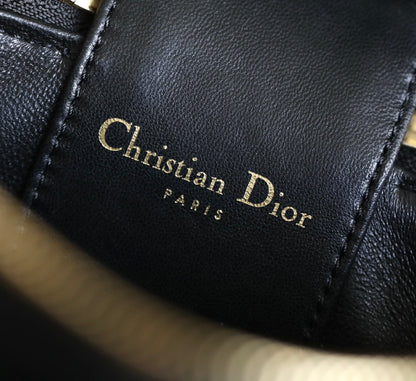 Dior CD SIGNATURE VANITY Bag