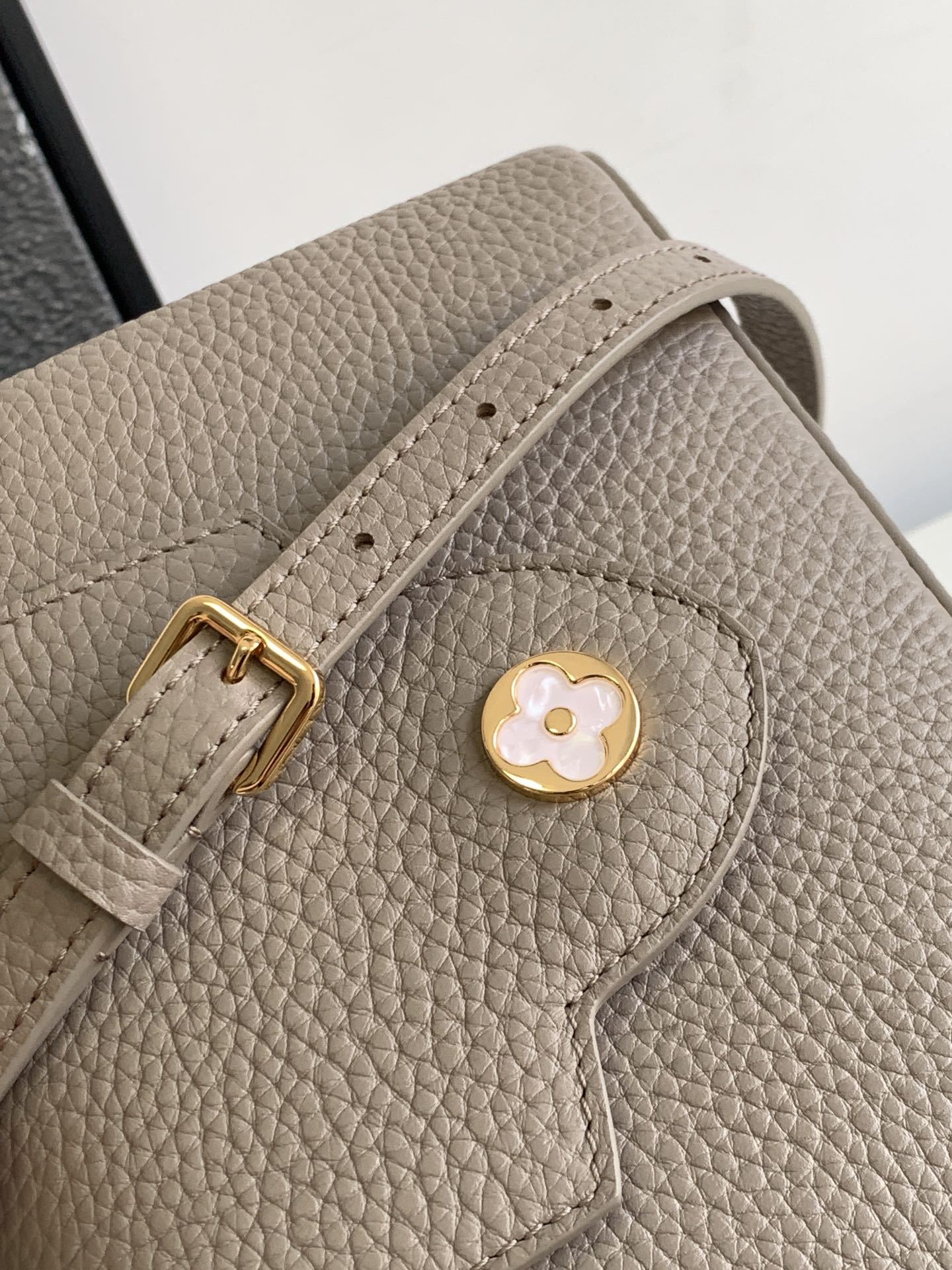 Lv CAPUCINES mini bag