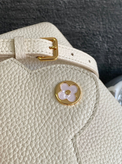 Lv CAPUCINES mini bag